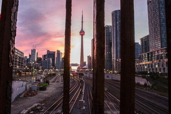 What Types of Wildlife Can Be Observed While Camping in the UK?